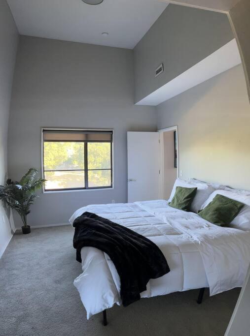 Luxury Condo 2 Bed 2 Bath Near Downtown Kc Kansas City Exterior photo